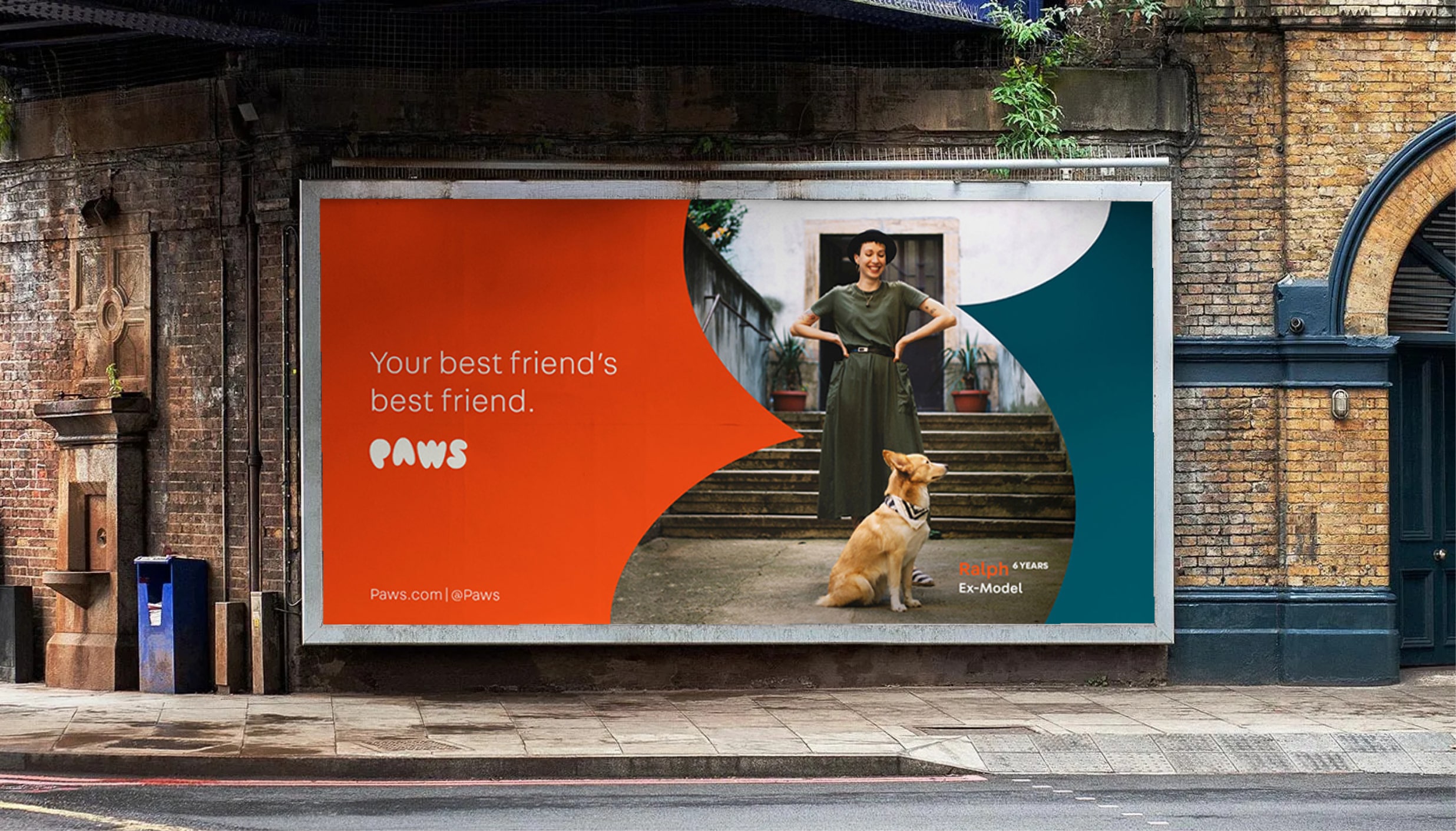 Dogs sitting project by Jack keys